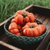 Costoluto Genovese Tomato - 50 Seeds - Italian Scalloped Tomato