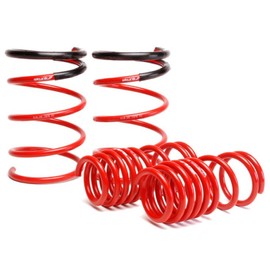 Skunk2 519-05-1575 Lowering Spring for Honda Civic Si