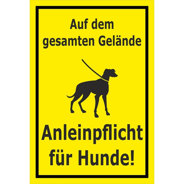 Sticker Shield Over The Countryside Anleinp Flicht for Dogs –