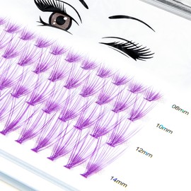LANKIZ Cluster Lashes for DIY Eyelash Extension, 20D Purple Individual Lashes, 8-14mm Mix False Mink Eyelashes Colored Lash Extension at Home