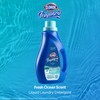 Clorox Fraganzia Liquid Laundry Detergent in Ocean Scent - HE