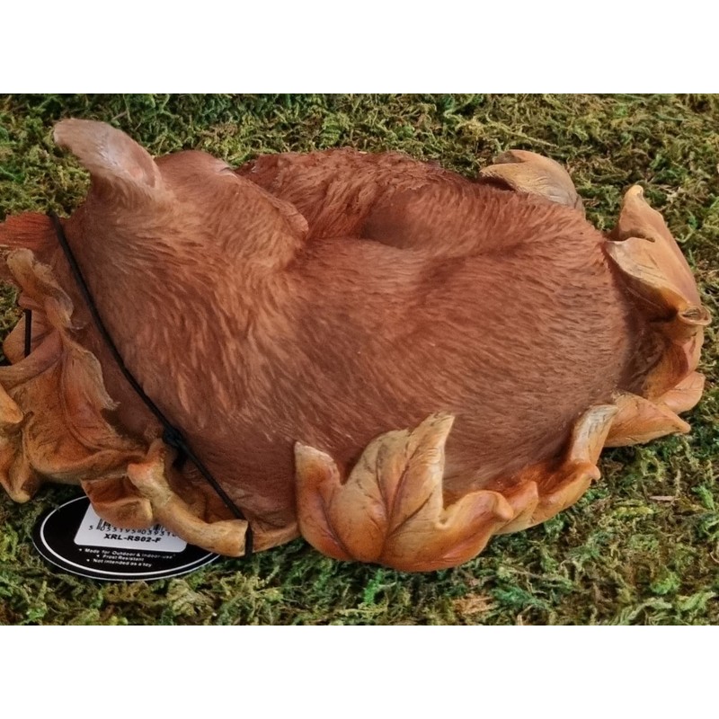 Vivid Arts Sleeping Baby Red Squirrel in Leaf | Resin