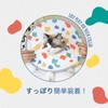 [セブンペット] 猫 犬 エリザベスカラー エアーネックカラー 軽量 通気性 ケガ 介護 ソフト