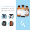 2oz Scented Home Fragrance Essential Oil by Expressive Scent (Egyptian