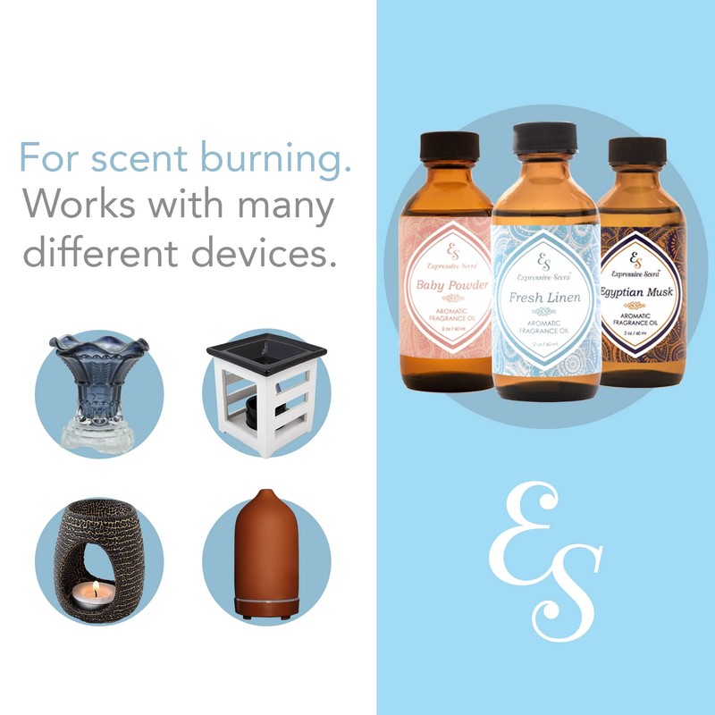 2oz Scented Home Fragrance Essential Oil by Expressive Scent (Egyptian