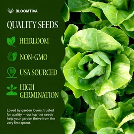 Romaine Lettuce Seeds – Parris Island Cos, 8000+ Heirloom Non-GMO Seeds, High Germination Bulk Pack, Grown in USA – Ideal for Indoor Hydroponic & Outdoor Vegetable Gardens