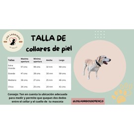 Collar para Perro De Piel Alta Calidad Resistente Entrenamiento Y Paseos Cómodos (Negro, Chico)