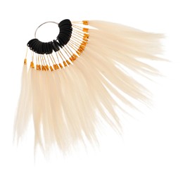 Outanaya 1 Set Real Hair Color Testing Rings for Hair Dyeing Practice for Salon Styling Training