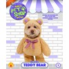 Walking Teddy Bear Pet Suit
