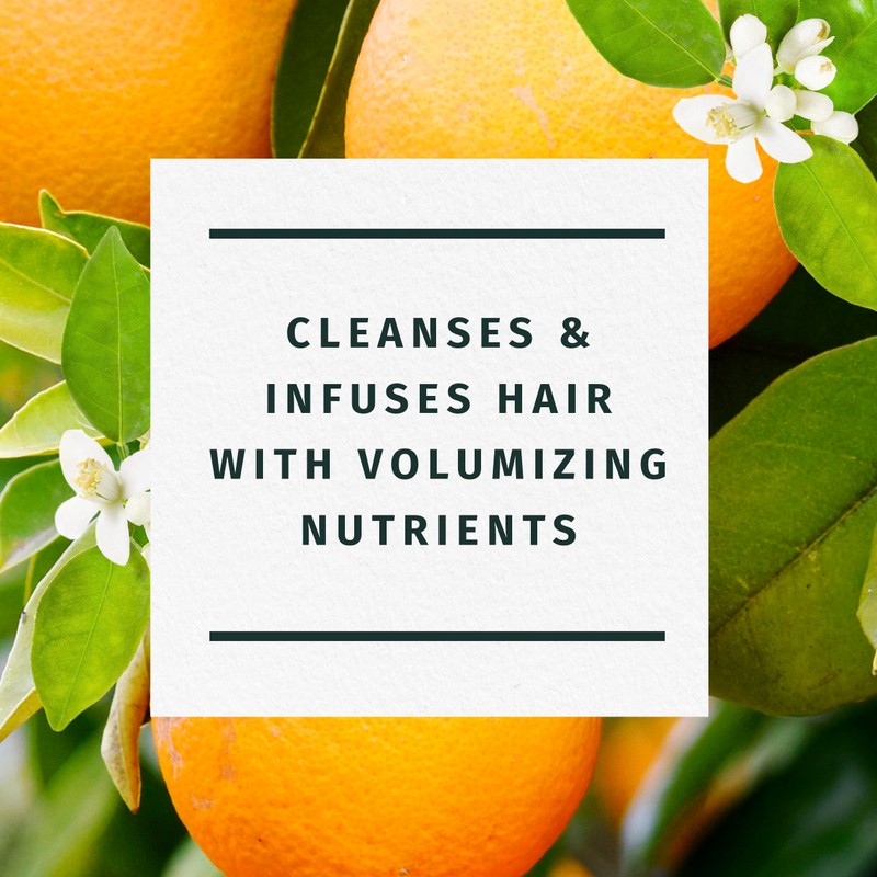 Herbal Essences Orange Blossom Volume Shampoo, 13.5 fl oz/400 mL,