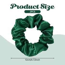 Pack of 2 Hair Bobbles Silk Girls Hair Band Silk Scrunchies Silk Hair Scrunchies Women's Hair Accessories Small Silk Hair Bobbles Hair Thin Velvet Kknekki Accessories Hair Bands Invisibobble Scrunchie Hair Clip