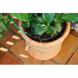 Royal Gardineer Bewässerung Gewächshaus: Pflanzen-Bewässerungssystem für Balkon & Terrasse (Mini Bewässerungssystem, Hochbeetbewässerung, bewasserungscomputer)