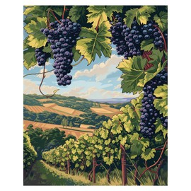 Grape Paint by Numbers for Adults, Vineyard Paint by Number for Beginner on Canvas, Countryside Landscape Easy Acrylic DIY Oil Painting for Holiday Gift, Home Wall Decor(16x20inch, No Frame)