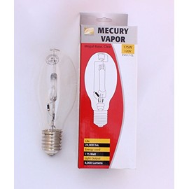 CORDELIA LIGHTING 175W Mercury Vapor Lightbulb,Mogul Base, 120V Energy Saver