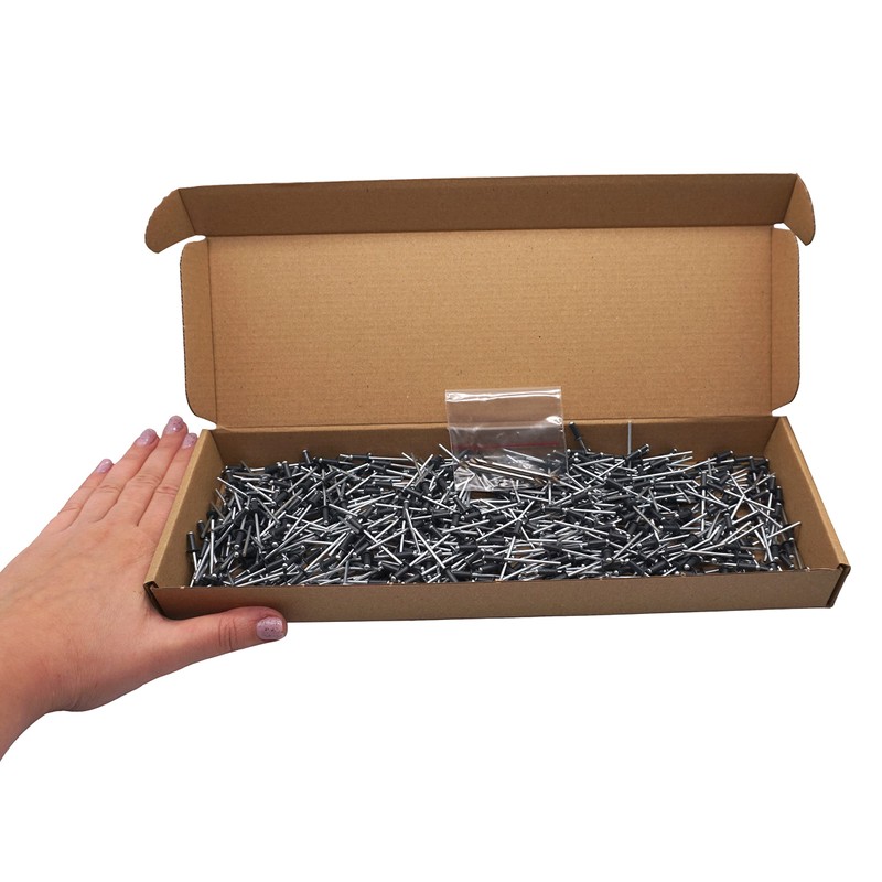 SKIR'CO Pack of 600 blind rivets painted 3.2 x 8