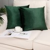 Pack of 2, Velvet Super Soft Solid Decorative Square Throw