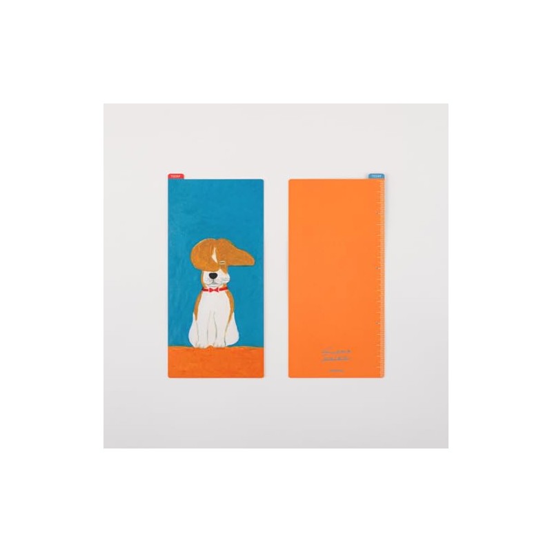 Almost daily Notebook Keiko Shibata / Almost Sun-day ajiki Wait!,