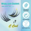 Natural Cluster Lashes Clusters C Curl Cluster Lashes Natural Wispy