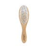 Dr. Brown's Dr. Brown's Soft and Safe Baby Brush +