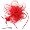 GWAWG Women's Fascinator Hat Flower with Red Veil Feathers Flowers