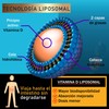 Vitamina D3 Liposomal en gotas | Nanotecnología de vitaminas |
