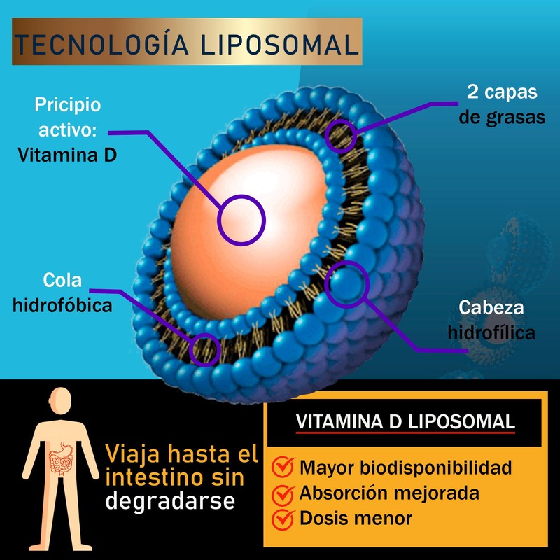 Vitamina D3 Liposomal en gotas | Nanotecnología de vitaminas |