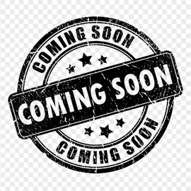 Concepts Decorative Initial Letter 8-inch Reflective Acrylic MDF backing Wall Ornament without overwhelming your space. (Letter R)