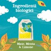CUPPER Infuso My Slim Mate Bio con Matè Menta Limone
