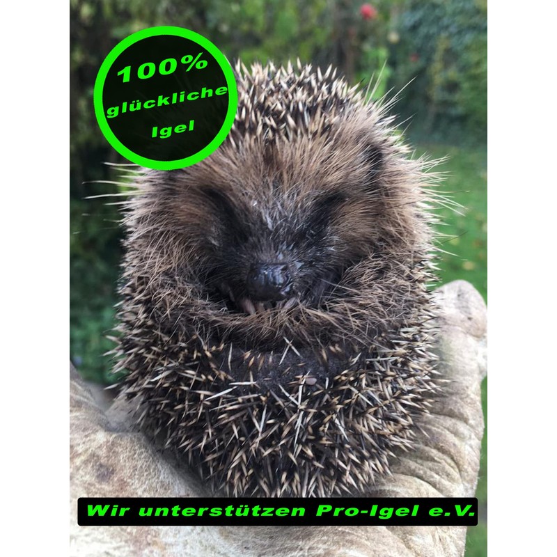 2 x DBT Skills Hedgehog Ball Magnetic High Stress Acupressure