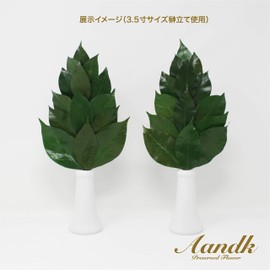 [A&K] Sakaki Kakimi M [Artificial Flowers Not Used] Preserved Sakaki (Made with Premium Camellia Leaves from Tanba) < Utility Model Registration No. 3222297> Handmade, Handmade, Non-Withering, Sakaki, One Pair, No Watering, Shinto Shelf, Shinto Treasure,
