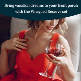 Libbey Vineyard Reserve Wine Glass Set of 12, Red and White Clear Wine Glasses, Merlot, Bordeaux, Chardonnay Gifts, Lead-Free Stemware Glasses