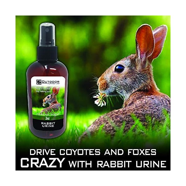Outdoor Hunting Lab Rabbit Urine for Coyote Hunting, Coyote Lure for Trapping, Scent Killer for Hunting Deer, Rabbit Scent Training for Dogs, Powerful Hunting Gear (1 Bottle of 2 oz)