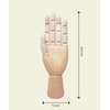 Mont Marte Mannequin Hand – Wooden Model Hand – Left