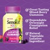 Senokot Senokot Kids Mixed Berry Laxative Gummies for Age 2+, Senna Extract for Gentle, Overnight Relief from Occasional Constipation, 40 ct