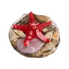 Wattkiste Musselmix Beautiful Decorative Shells for Decorating and Crafting, Large