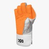 Dsc Wicket Keeping Gloves Krunch 100 Keeping Gears, Size: Mens