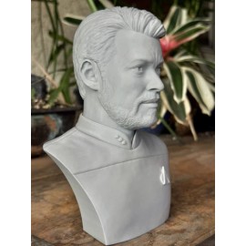 Star Trek The Next Generation William T. Riker  3D Printed Bust 6.75Inches