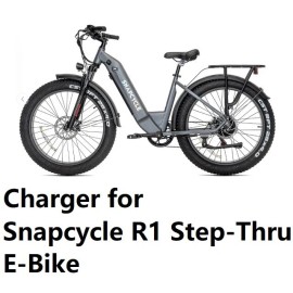 coming dat battery Charger for Snapcycle R1 pro Step-Thru/Warr