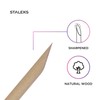 STALEKS PRO EXPERT Wooden Orange Sticks (10 Pcs) – 150mm
