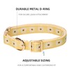 Petiry Daisy Deisgn Jacquard Dog Collar with Soft Cotton Padded