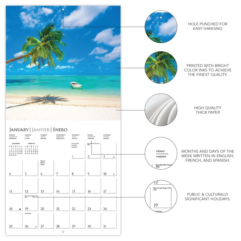 Graphique 2026 Island Paradise Wall Calendar | 12” x 12”