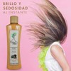 Acondicionador Natural con Coco y Aceite de Argán Árbol Verde.