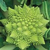 Seeds Romanesco Broccoli Beautiful Cabbage Heirloom Vegetable Non GMO