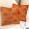 Bunliuys Pumpkin Spring Decorative Pillow Covers 20x20 Set of 2