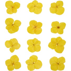 PATIKIL Flores Prensada Seca, 48 Unidades para Manualidades de Resina, Arte de Uñas, Tarjetas, Scrapbooking, Fabricación de Joyas, Decoración Floresal, Amarillo