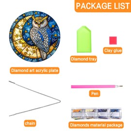 Ginfonr Diamond Painting Kits Hanging Pendant, Owl Sun Catcher for Front Door Sign, Special Shaped Rhinestone Moon/Stars Summer Decor, Double Sided Diamond Hanging Kits for Garden Window (8x8inch)