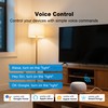 SASWELL Matter Smart Plug, Work with Apple Homekit, Alexa &