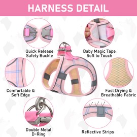 GAMUDA Small Dog Harness Collar and Leash Set, Step in No Chock No Pull Soft Mesh Adjustable Dog Vest Harnesses Plaid Reflective for Dogs Puppy Cats Kitten Rabbit (Pink, XXXS)