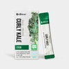델브미 데일리 유기농 동결건조 컬리케일 스틱 14포 Delbimi Daily Organic Freeze-Dried Curly Kale Sticks 14 Packs
