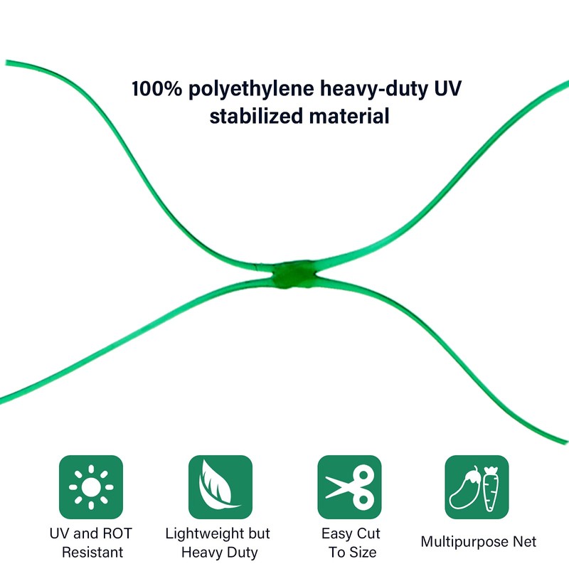 Boao, Bird Protection Net with 100 Wire Ties and 10